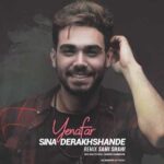Sina Derakhshande Ye Nafar Remix